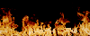 Video Mpeg Correfocs