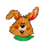 bunny