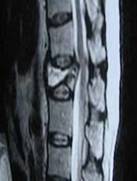 Figura 7