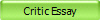 Critic Essay