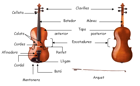violi_g