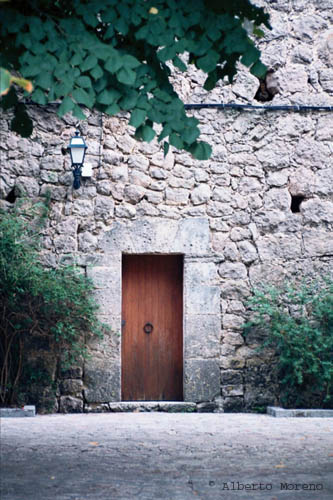 Valldemosa (1)