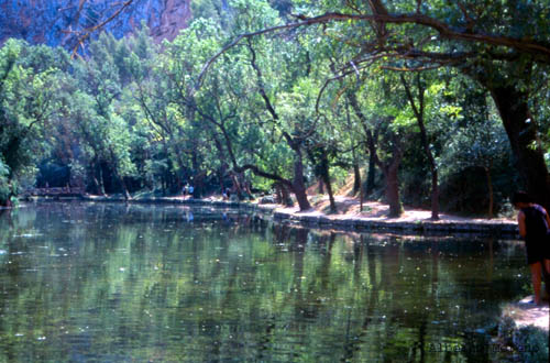 Monasterio de piedra (19)