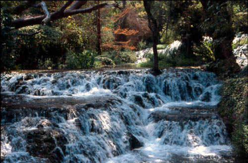 Monasterio de piedra (48)