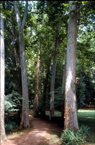 Monasterio de piedra (51)