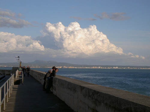 Muelle del Oeste (1)