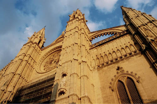 Catedral de Palma (27)