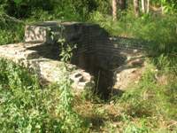 Pequea senia