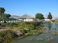 Piscifactoria junto ullals