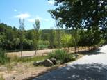 paseo