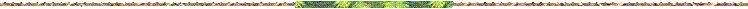 ---