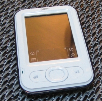 palm