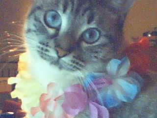 �qu� guapa!