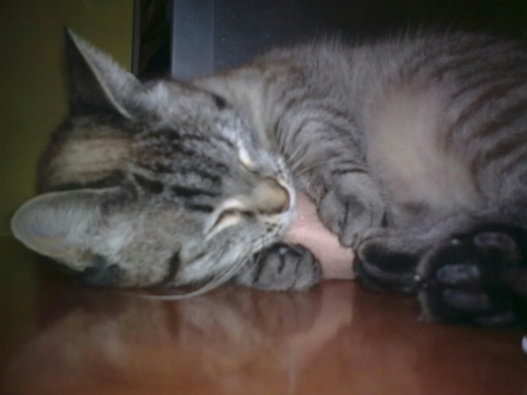 Bichete...