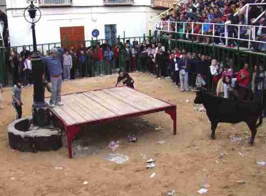 Vaquillas