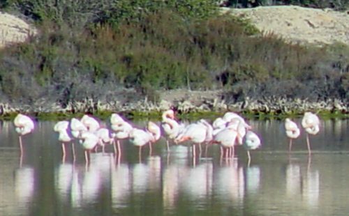 Paraje Natural Las Salinas