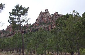 Pinar de Rodeno