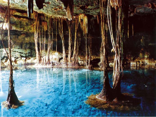 cenote