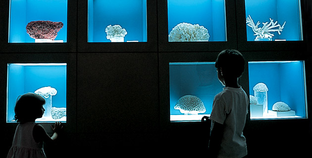 museo Cozumel