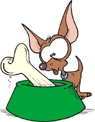 perro comida2