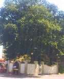 Plaza de Olmo