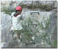 Archivo de RTVV