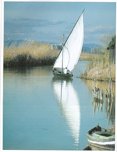 Albufera