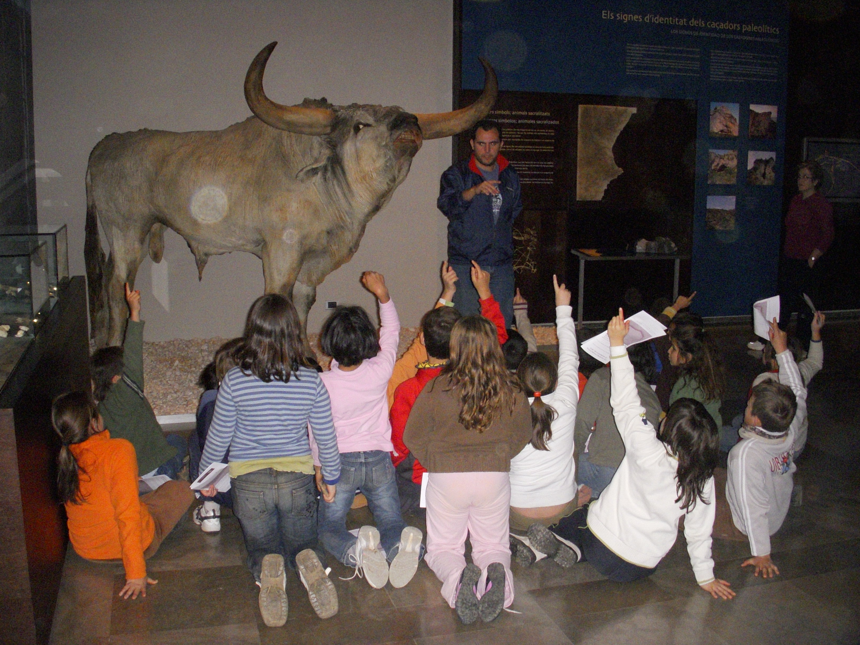 Museo de Prehistoria de la Valltorta
