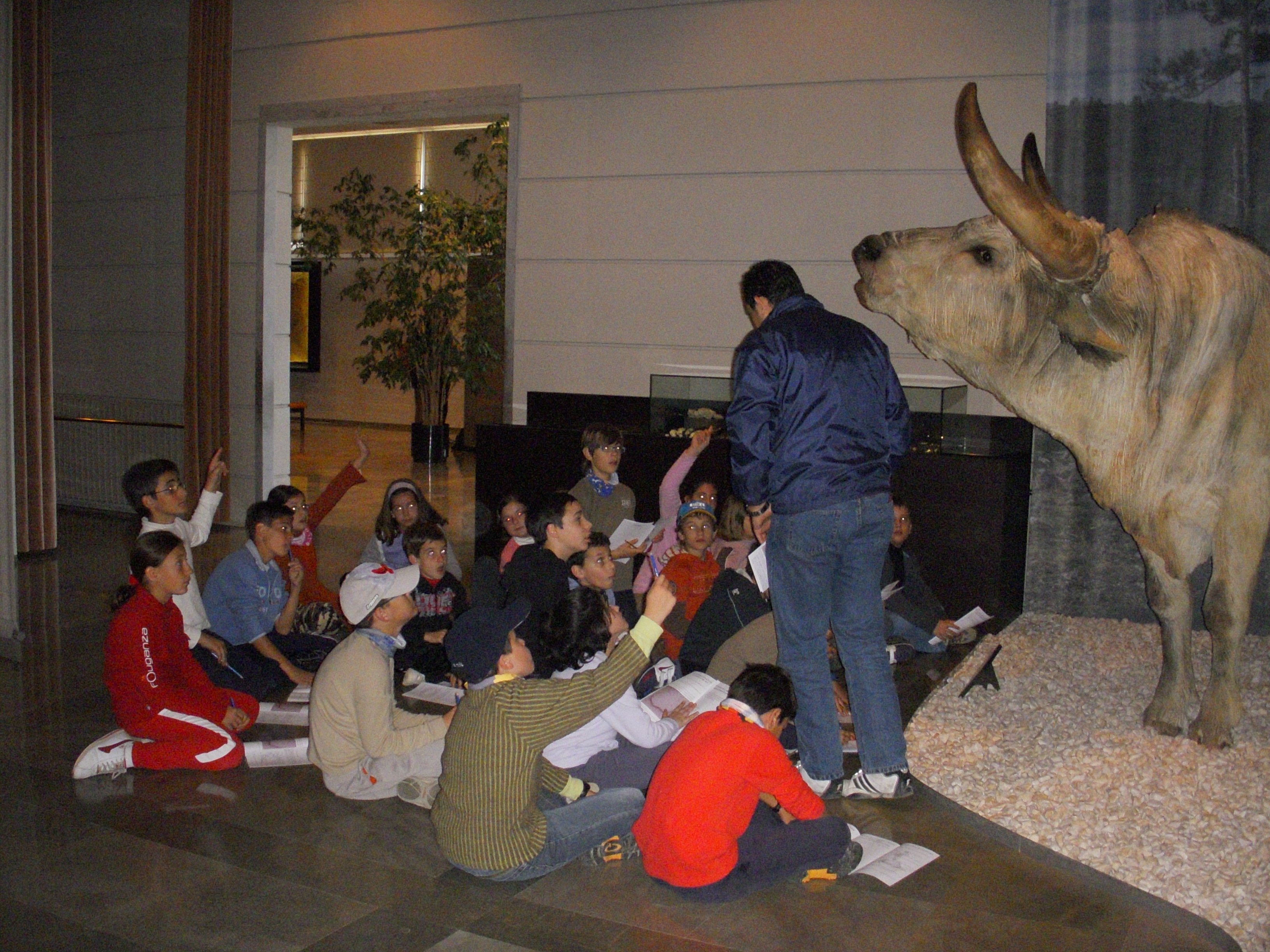 Museo de Prehistoria de la Valltorta