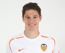 Zigic