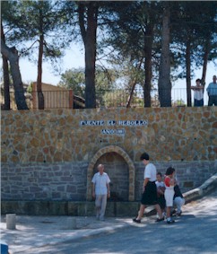rebollo