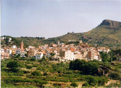 GATOVA
