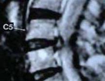 Figura 1