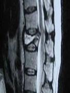 Figura 7