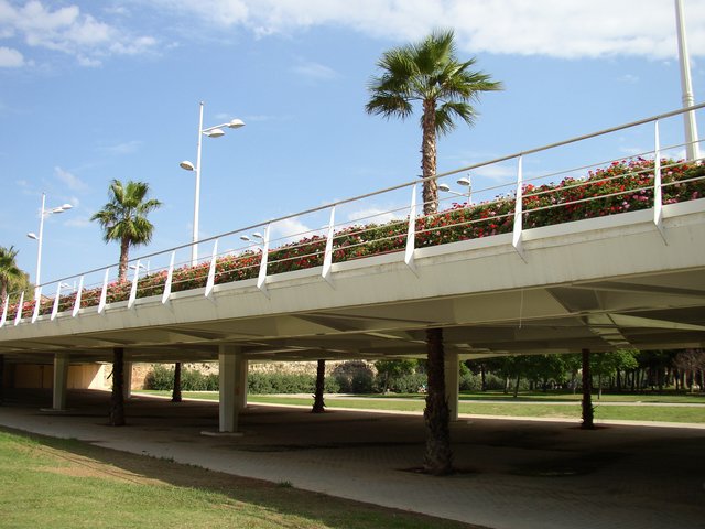 Puente de las flores