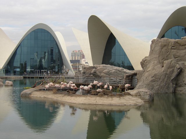 Oceanográfic