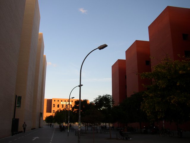 Campus dels Tarongers
