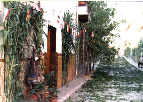 CASAS