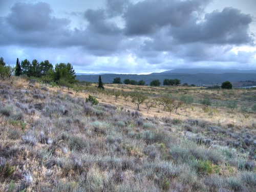 PAISAJE