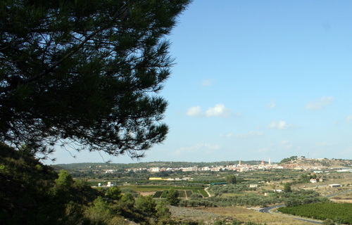 VISTAS
