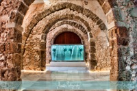 Exposició al Palau