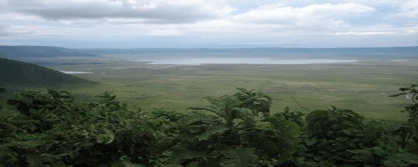 Ngorongoro Crater