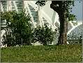 DSCF1199 * 500 x 377 * (91KB)