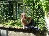 DSCF1537001 * 1600 x 1200 * (508KB)