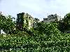 DSCF1539001 * 1600 x 1200 * (339KB)