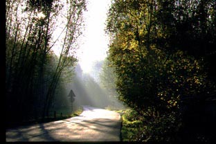 Paisaje 2 
