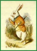 The white rabbit