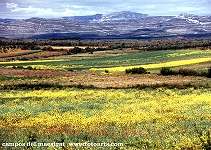 Paisaje 1