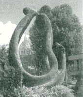 HOMO NÁUTICA