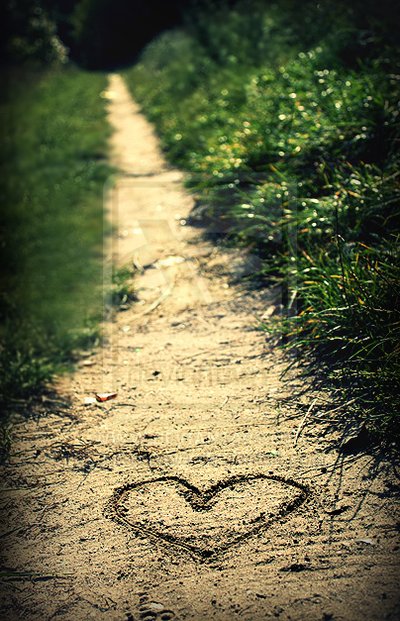 �nuestro camino!